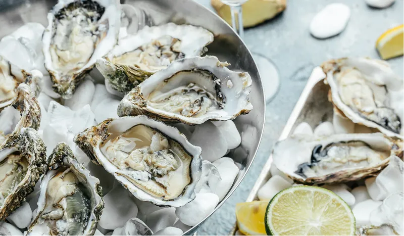 Oysters on plate